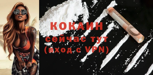 mix Козельск