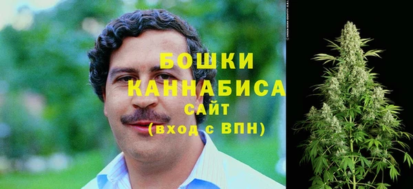 mix Козельск