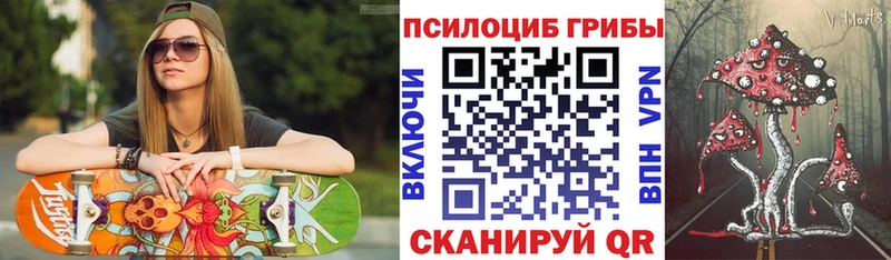 Купить  Полярные Зори  Галлюциногенные грибы GOLDEN TEACHER 